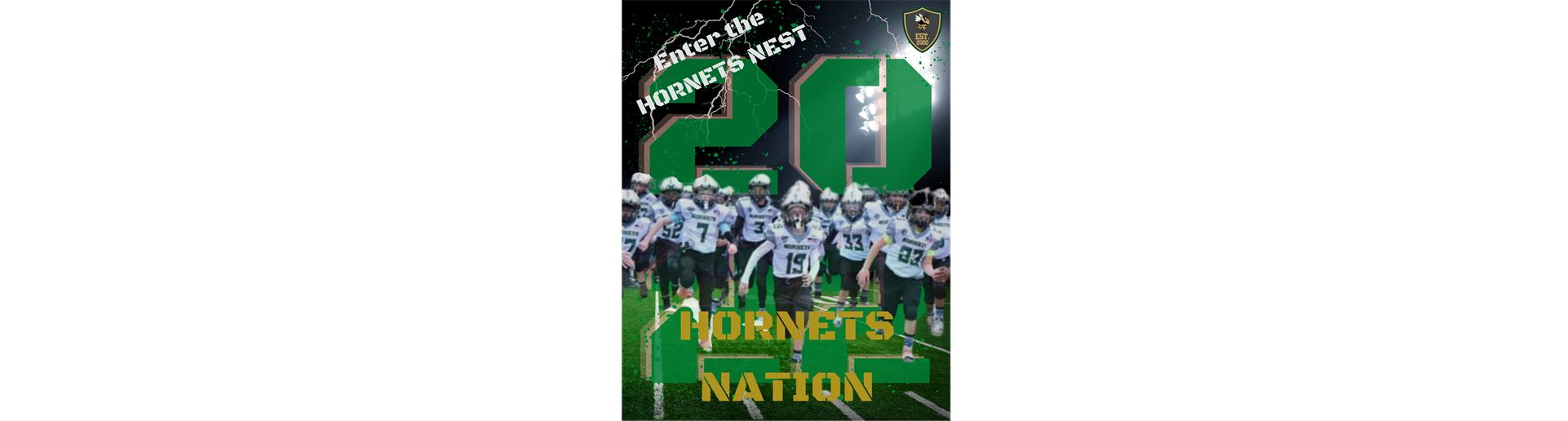 Enter The Hornets Nest